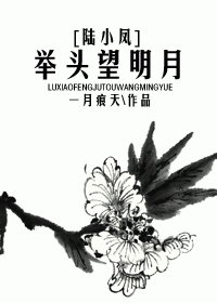(陆小凤同人)举头望明月
