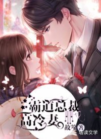霸道總裁高冷妻