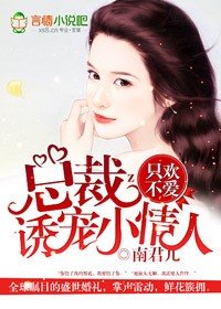 總裁的愛人/只歡不愛，總裁誘寵小愛人
