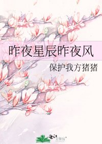 昨夜星辰昨夜风